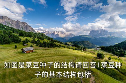 菜豆种子的结构，菜豆种子由和两部分组成其中后者由