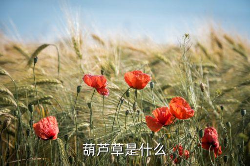 葫芦草是什么