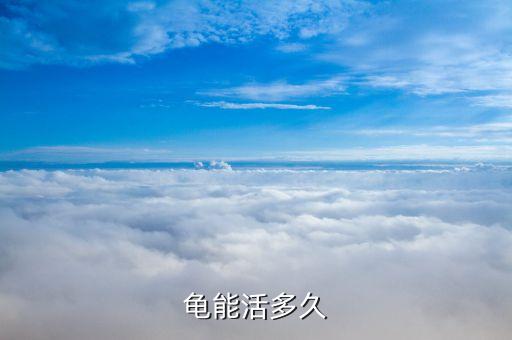 龟能活多久