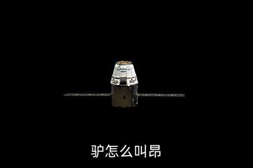 驴怎么叫的，驴怎么叫昂