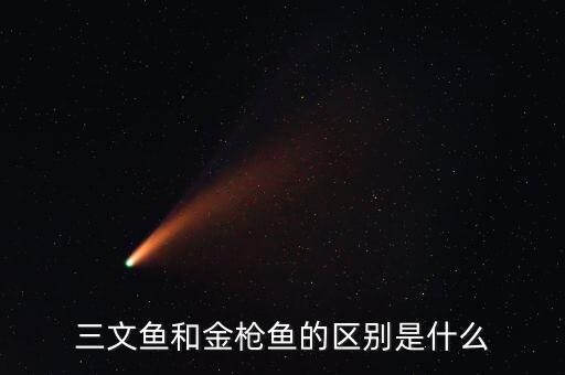 三文鱼和金枪鱼的区别是什么