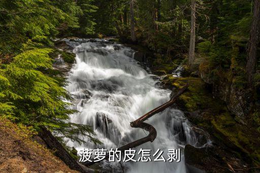 菠萝怎么去皮，怎样轻松削去菠萝皮