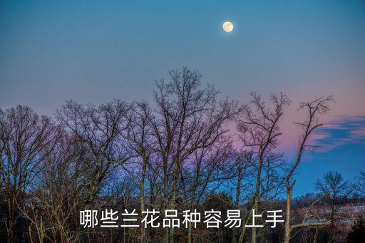 建兰五个必养品种，初学养兰应该选择什么品种入门春蕙建寒墨哪种易