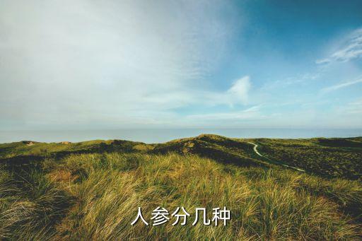 人参分几种