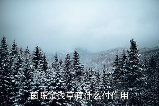 茵陈金钱草有什么付作用