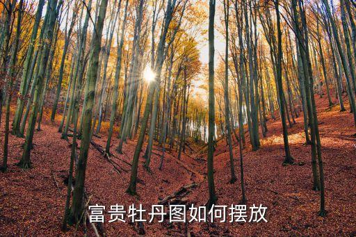 富贵牡丹图如何摆放