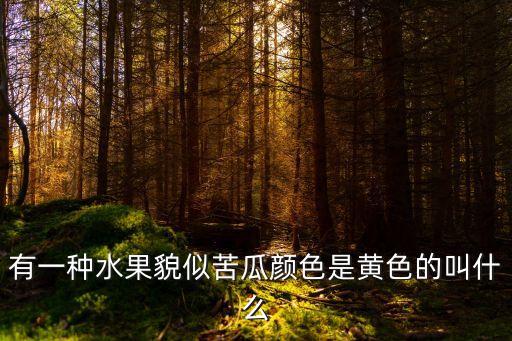 有一种水果貌似苦瓜颜色是黄色的叫什么