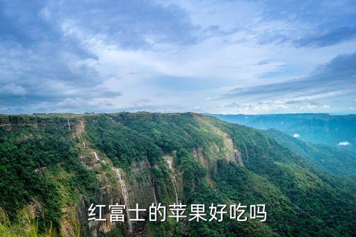 红富士的苹果好吃吗