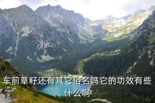 车前子的功效，车前子的作用与功效