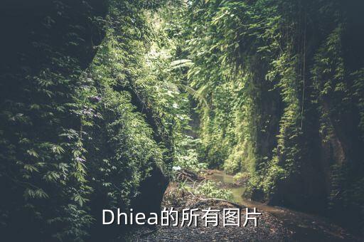 花菱草图片，这是什么植物附上图片