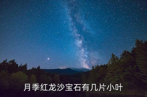 红龙月季图片，月季红龙沙宝石有几片小叶