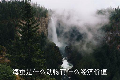 海蚕是什么动物有什么经济价值