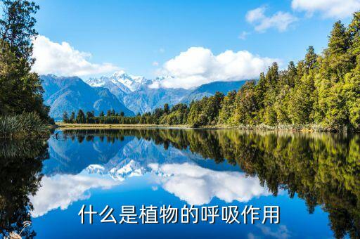 植物呼吸作用，植物是怎样进行呼吸作用的