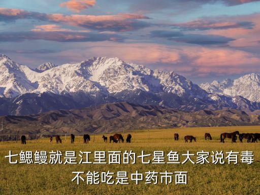 七鳃鳗就是江里面的七星鱼大家说有毒不能吃是中药市面