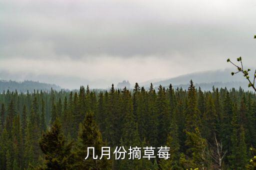 采摘周期，什么是蔬菜的采摘周期