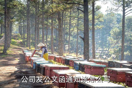 公司发公文函通知该怎么写