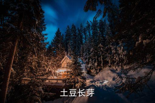 土豆长芽