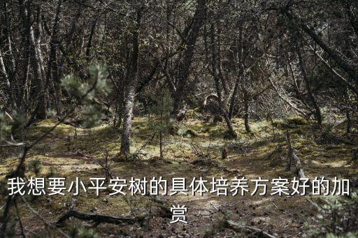 我想要小平安树的具体培养方案好的加赏
