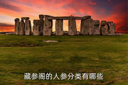 藏参阁的人参分类有哪些