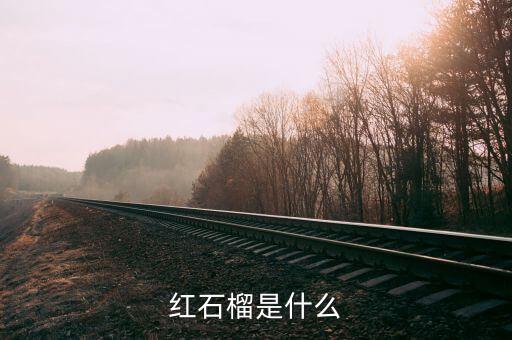 红石榴是什么