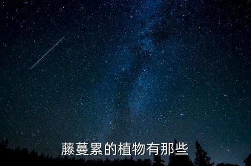藤蔓植物图片，藤蔓累的植物有那些