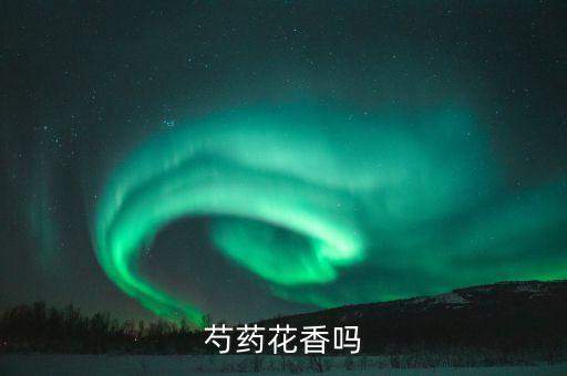 芍药花香吗，芍药花香吗