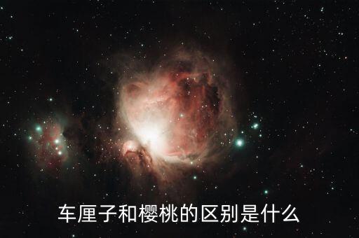 樱桃与车厘子区别，车厘子和樱桃的区别是什么