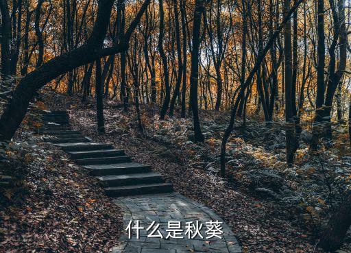 秋葵，什么是秋葵