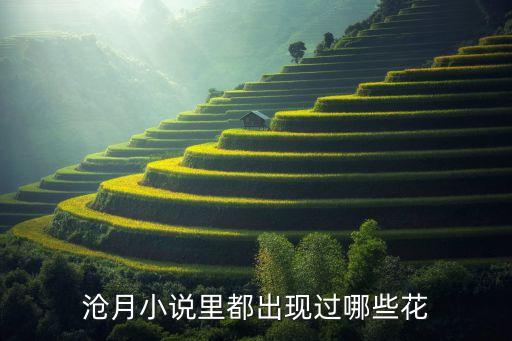 踯躅花，踯躅花 韩文怎么写