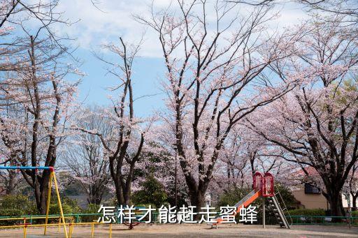 怎样才能赶走蜜蜂