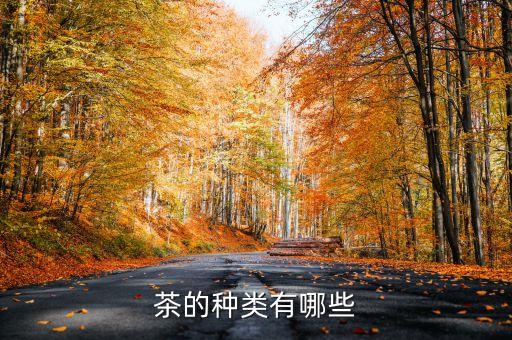 茶的种类有哪些