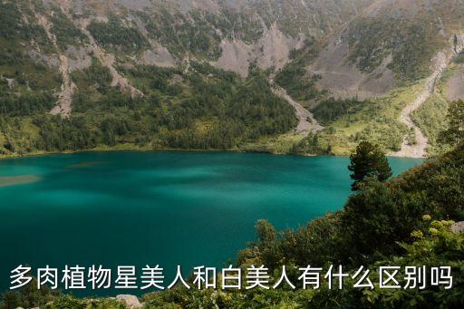 白美人，求大家解答白美人星美人桃美人冬美人怎么区分