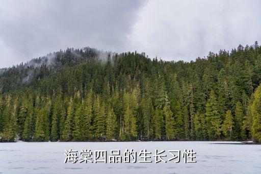 海棠四品，海棠四品的生长习性