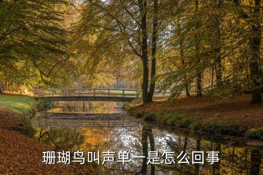 珊瑚鸟叫声大全，珊瑚鸟叫的好不好听需要常遛吧