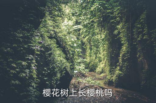 樱花树上长樱桃吗