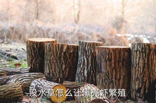 黑壳虾繁殖，黑壳虾用裸缸养能繁殖吗