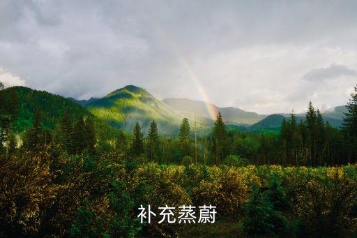 补充蒸蔚