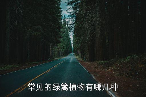 常见的绿篱植物有哪几种