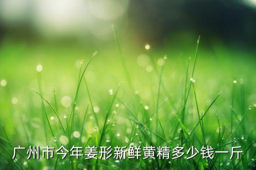 黄精价格，广州市今年姜形新鲜黄精多少钱一斤