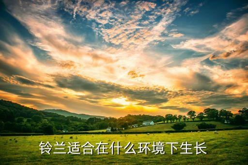 铃兰怎么养，铃兰的种植注意事项