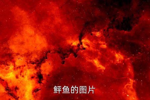 鲆鱼的图片