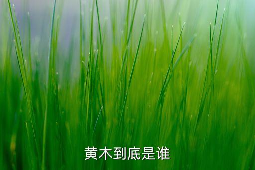 黄木，姓黄木命人取什么名字好