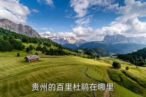 贵州的百里杜鹃在哪里