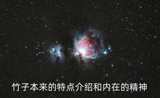 竹子本来的特点介绍和内在的精神