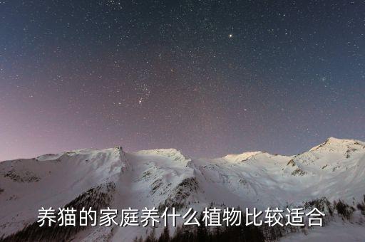 养猫的家庭养什么植物比较适合