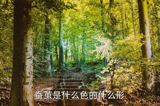 蚕茧颜色，蚕茧除白黄外还有其它颜色吗