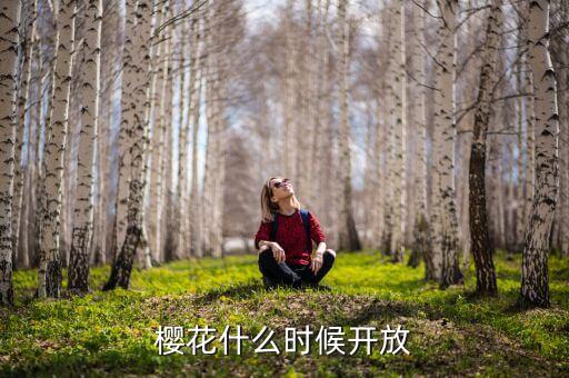 樱花什么时候开放