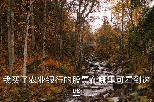 我买了农业银行的股票在哪里可看到这些