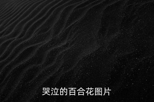 哭泣的百合花图片