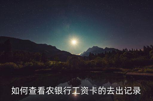 农业工资明细怎么查询，中国农业银行工资明细查询
